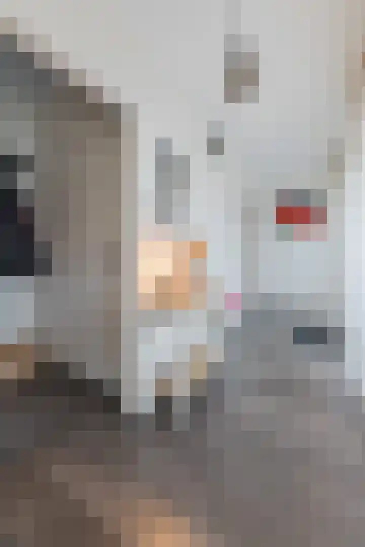 Warreveen 39 Pesse thumbnail 15