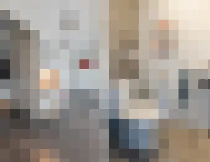 Warreveen 39 Pesse thumbnail 17