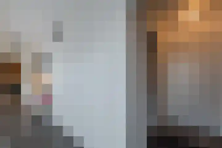 Warreveen 39 Pesse thumbnail 18