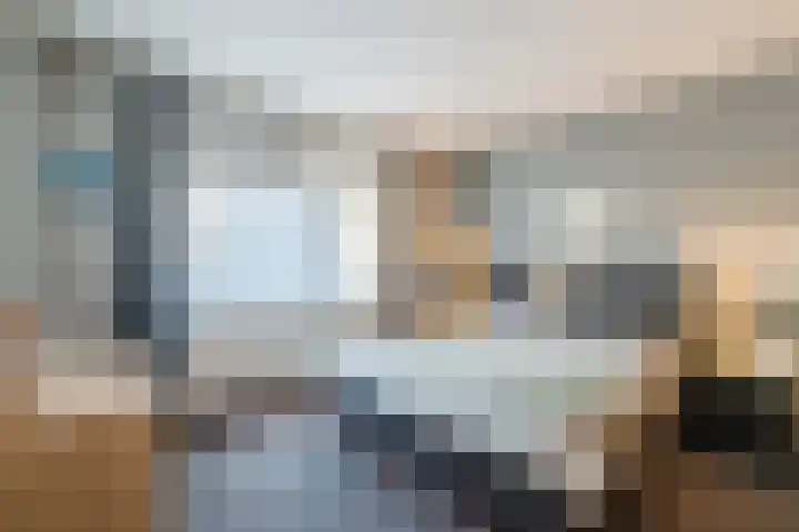 Warreveen 39 Pesse thumbnail 19