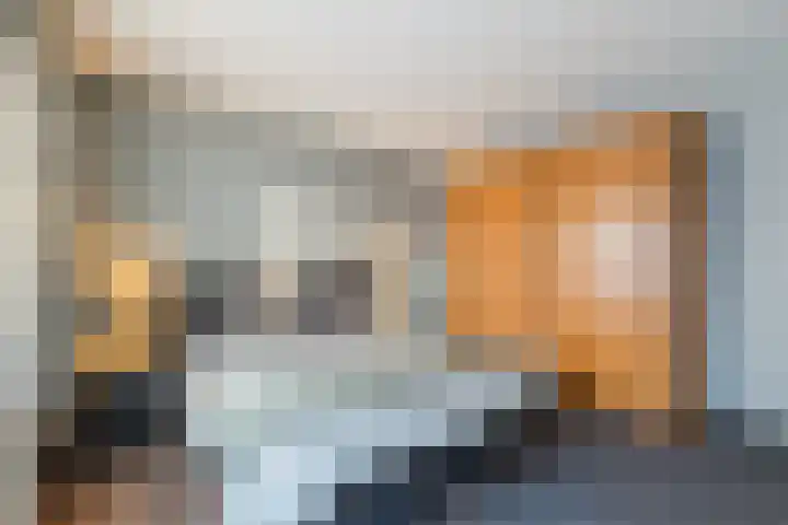 Warreveen 39 Pesse thumbnail 21