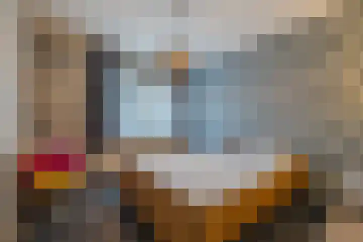 Warreveen 39 Pesse thumbnail 23