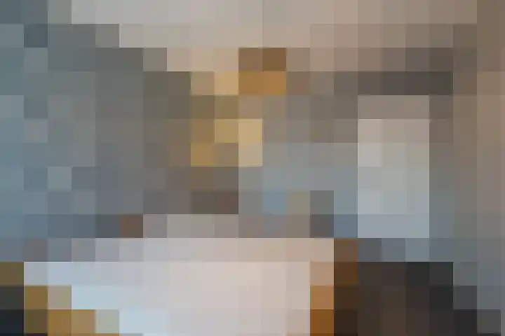 Warreveen 39 Pesse thumbnail 24