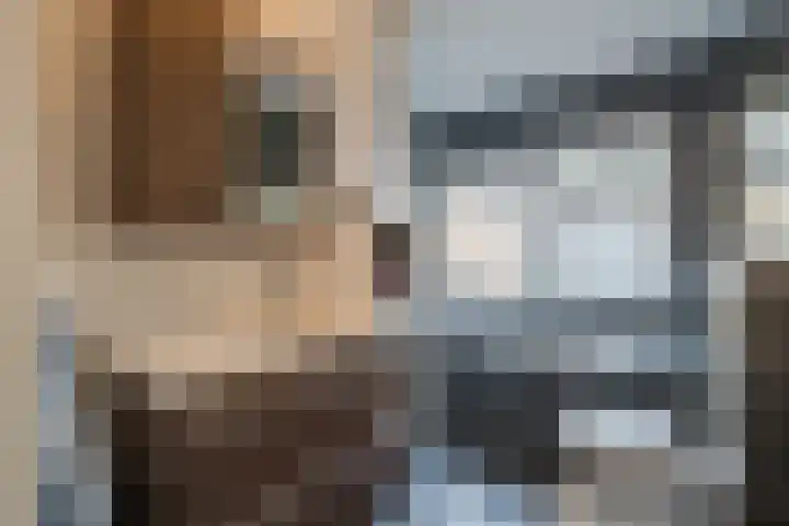 Warreveen 39 Pesse thumbnail 26