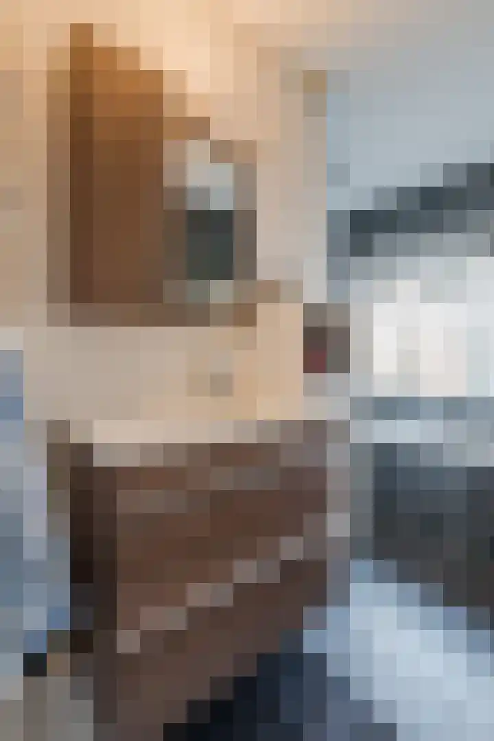 Warreveen 39 Pesse thumbnail 27