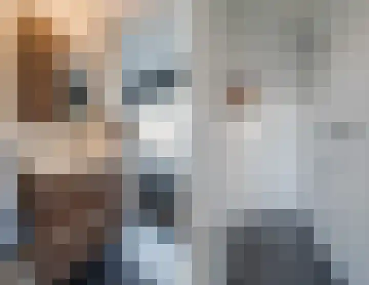 Warreveen 39 Pesse thumbnail 29