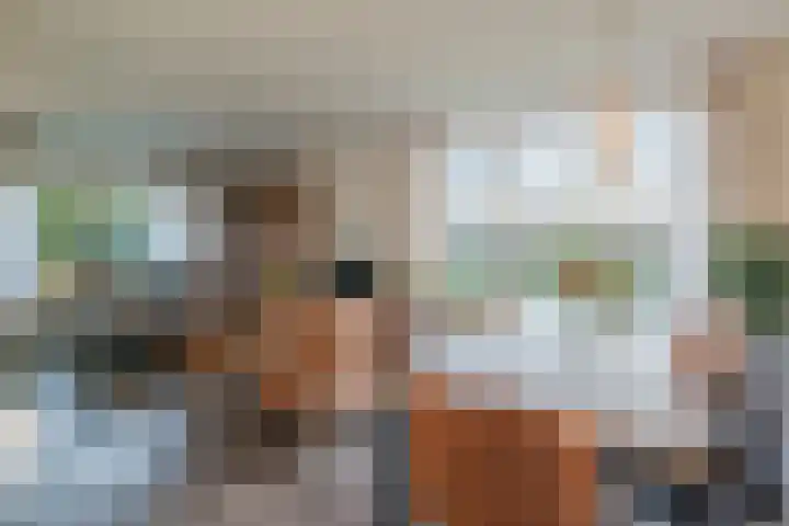 Warreveen 39 Pesse foto 3