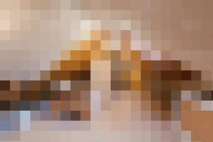 Warreveen 39 Pesse thumbnail 30