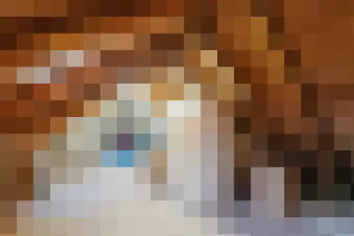Warreveen 39 Pesse thumbnail 31