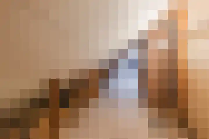 Warreveen 39 Pesse thumbnail 32
