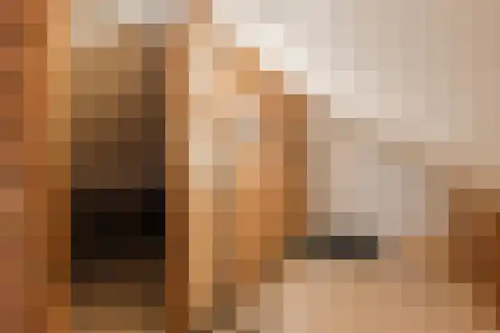 Warreveen 39 Pesse thumbnail 33