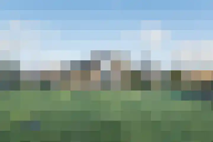 Warreveen 39 Pesse thumbnail 36