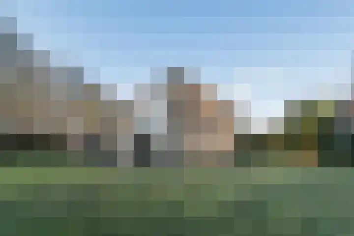 Warreveen 39 Pesse thumbnail 37