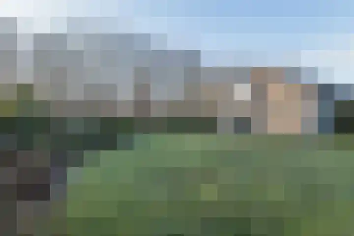 Warreveen 39 Pesse thumbnail 39