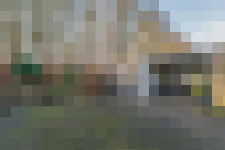 Warreveen 39 Pesse thumbnail 40
