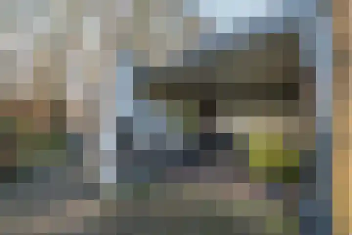 Warreveen 39 Pesse thumbnail 41