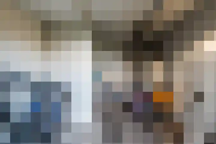 Warreveen 39 Pesse thumbnail 42
