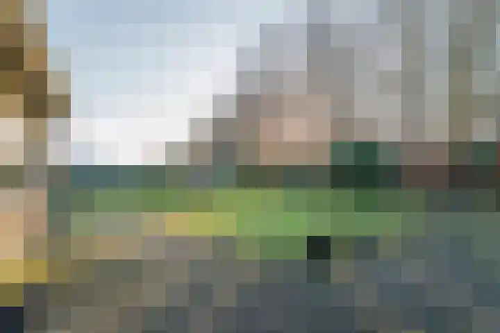 Warreveen 39 Pesse thumbnail 43