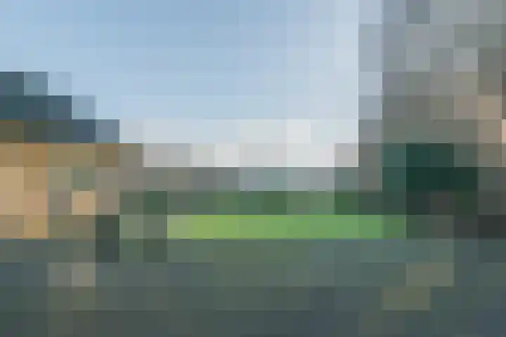 Warreveen 39 Pesse thumbnail 44