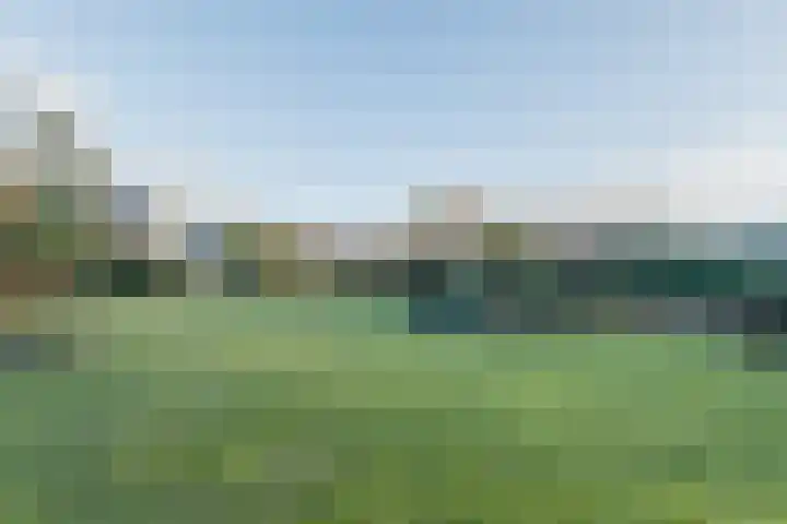 Warreveen 39 Pesse thumbnail 45