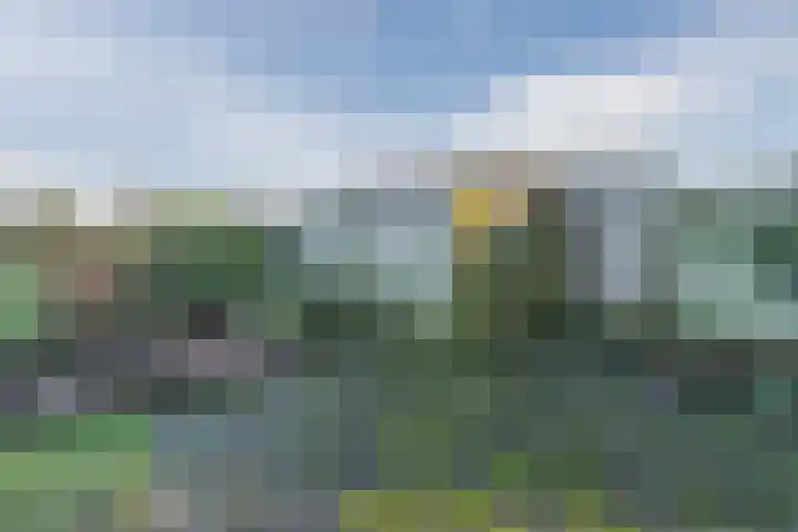 Warreveen 39 Pesse thumbnail 46