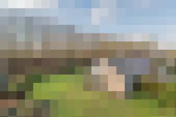 Warreveen 39 Pesse thumbnail 47