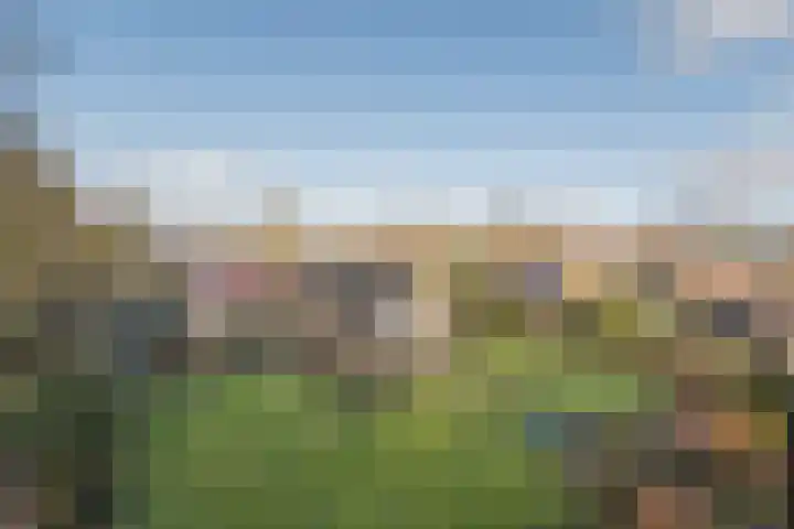 Warreveen 39 Pesse thumbnail 48