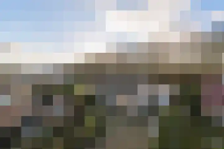 Warreveen 39 Pesse thumbnail 49