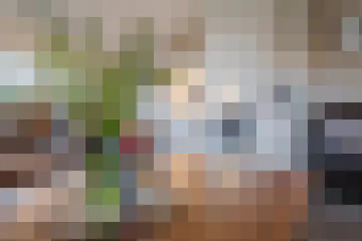 Warreveen 39 Pesse thumbnail 5