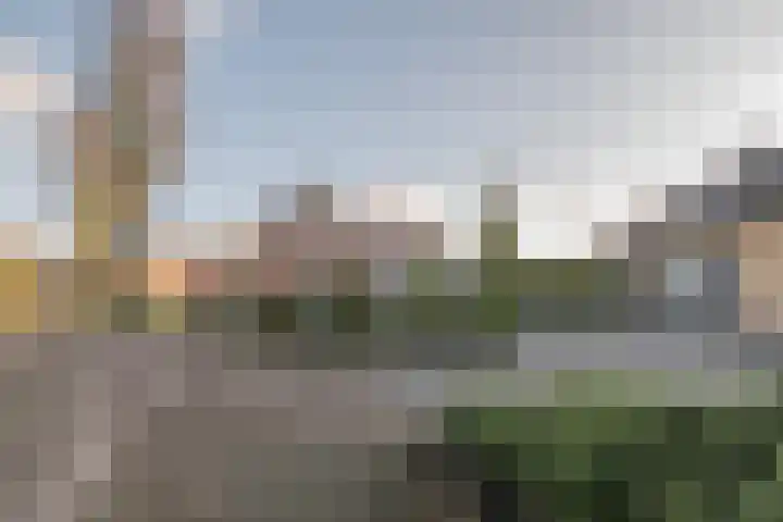 Warreveen 39 Pesse thumbnail 55