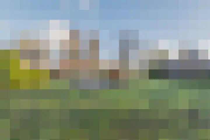 Warreveen 39 Pesse thumbnail 57