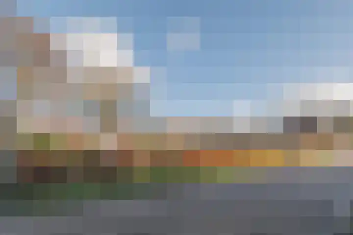 Warreveen 39 Pesse thumbnail 58
