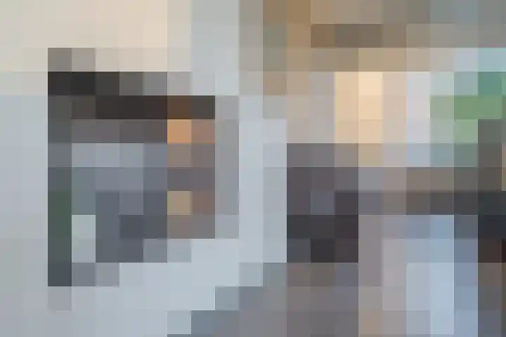 Warreveen 39 Pesse thumbnail 6