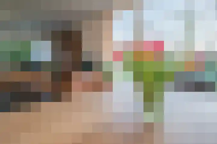 Warreveen 39 Pesse thumbnail 8