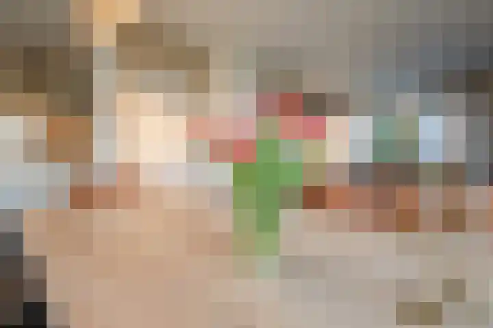 Warreveen 39 Pesse thumbnail 9