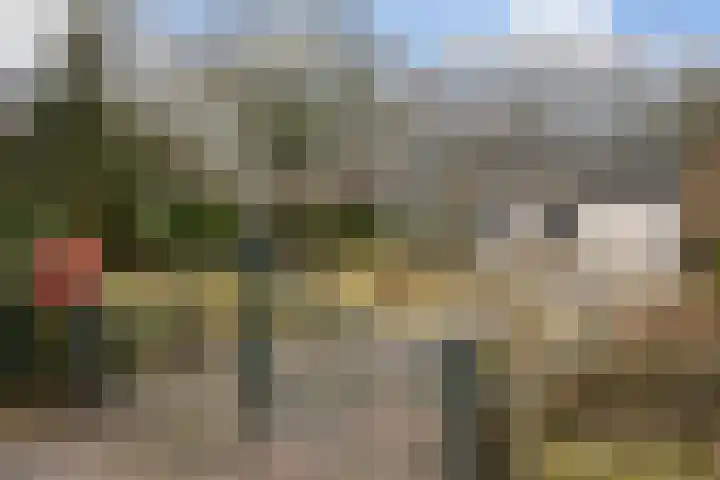 Warreveen 47 in Pesse