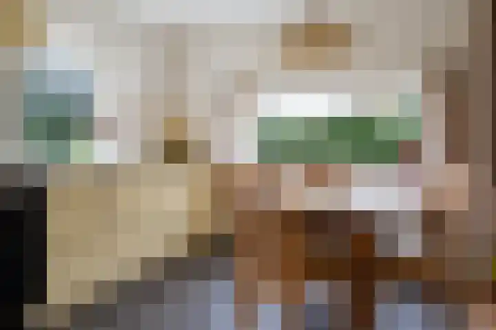 Warreveen 47 Pesse thumbnail 10