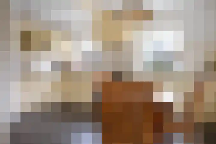 Warreveen 47 Pesse thumbnail 11
