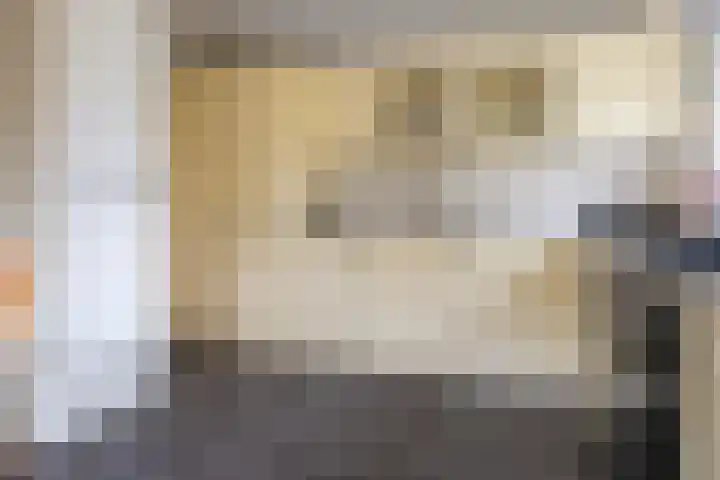 Warreveen 47 Pesse thumbnail 12
