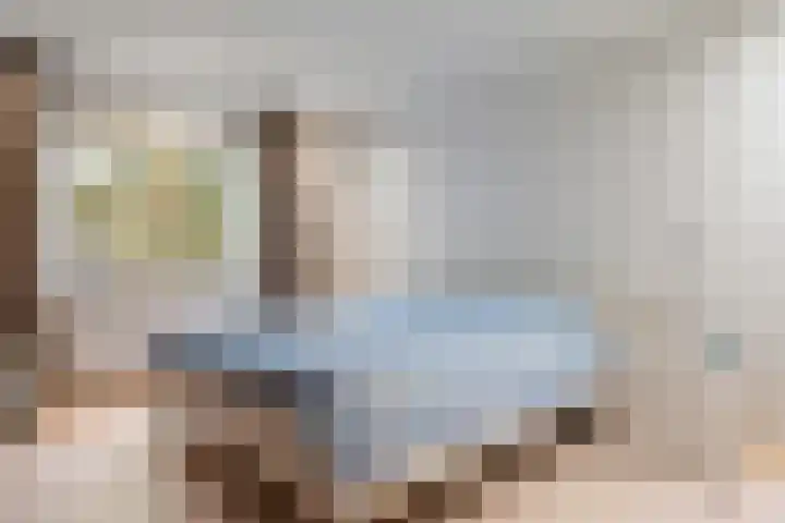 Warreveen 47 Pesse thumbnail 13