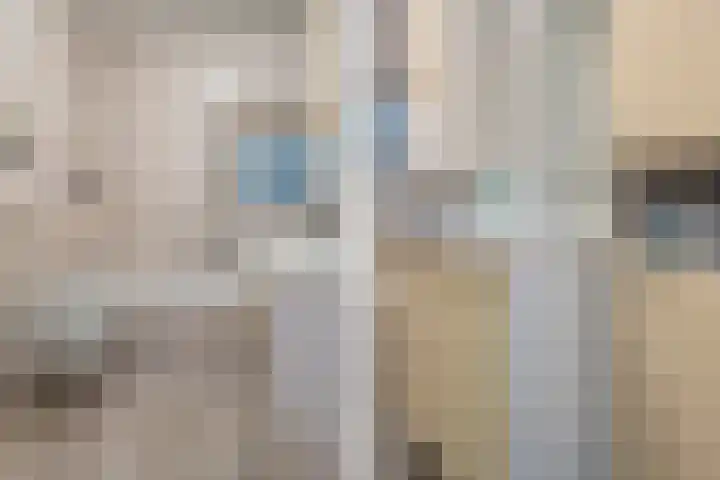 Warreveen 47 Pesse thumbnail 17