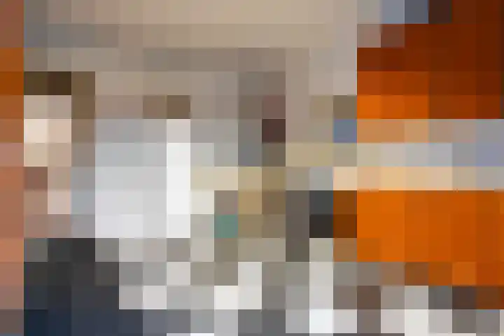 Warreveen 47 Pesse thumbnail 18