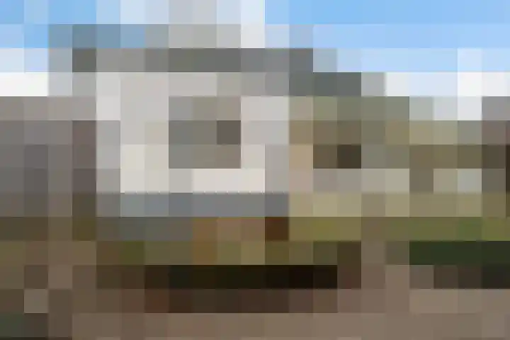 Warreveen 47 Pesse foto 2