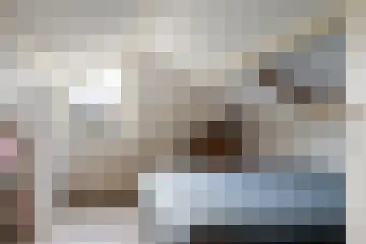 Warreveen 47 Pesse thumbnail 20