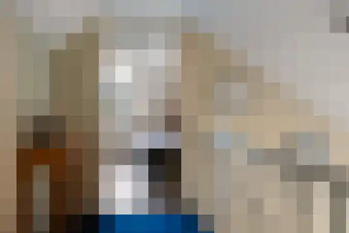 Warreveen 47 Pesse thumbnail 21