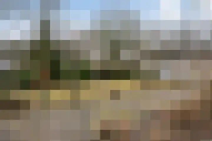Warreveen 47 Pesse thumbnail 23
