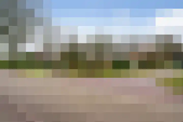 Warreveen 47 Pesse thumbnail 24