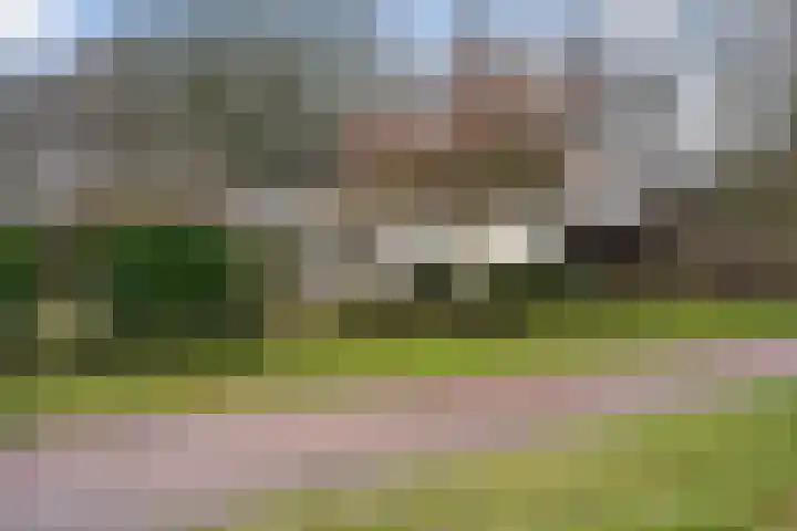Warreveen 47 Pesse thumbnail 25