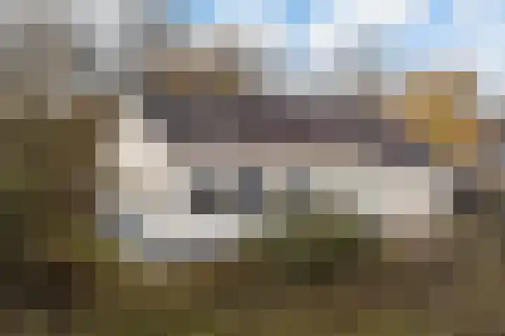 Warreveen 47 Pesse thumbnail 26