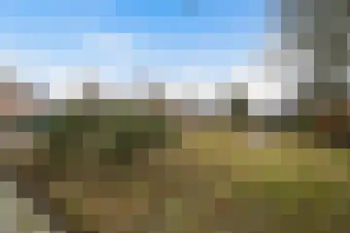 Warreveen 47 Pesse thumbnail 27